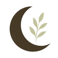 The Midnight Aesthetics Logo